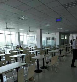 工廠食堂與軟件外包服務 泉州600人工廠外包實踐解析